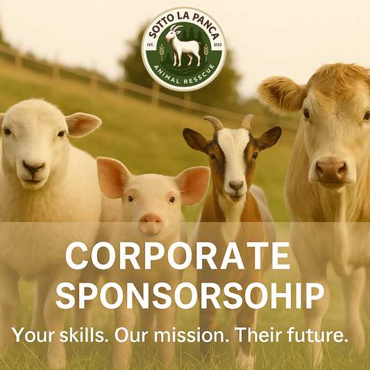 Un gruppo di animali da fattoria — una pecora, un maialino, una capra e una mucca. L’immagine promuove la sponsorizzazione aziendale per il Santuario Sotto la Panca.