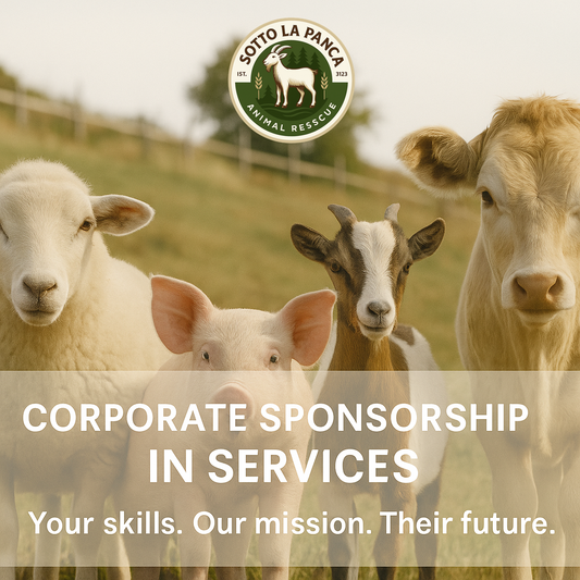 Un gruppo di animali da fattoria — una pecora, un maialino, una capra e una mucca — fotografati in primo piano su un prato. L’immagine promuove la sponsorizzazione aziendale in servizi per il Santuario Sotto la Panca.